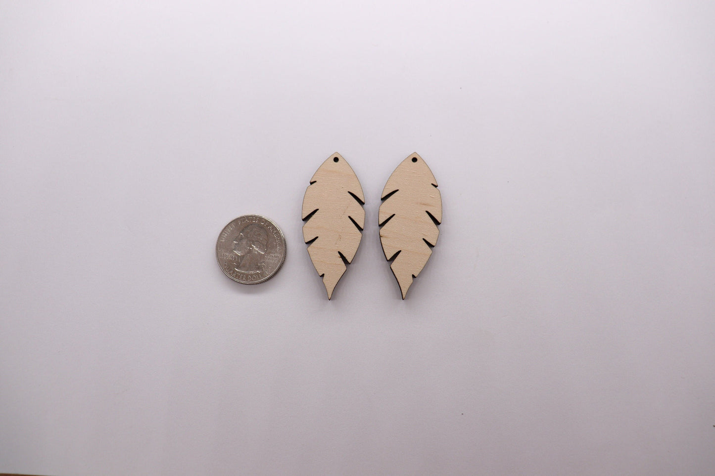 Feather blanks, wood cutouts, earring blanks