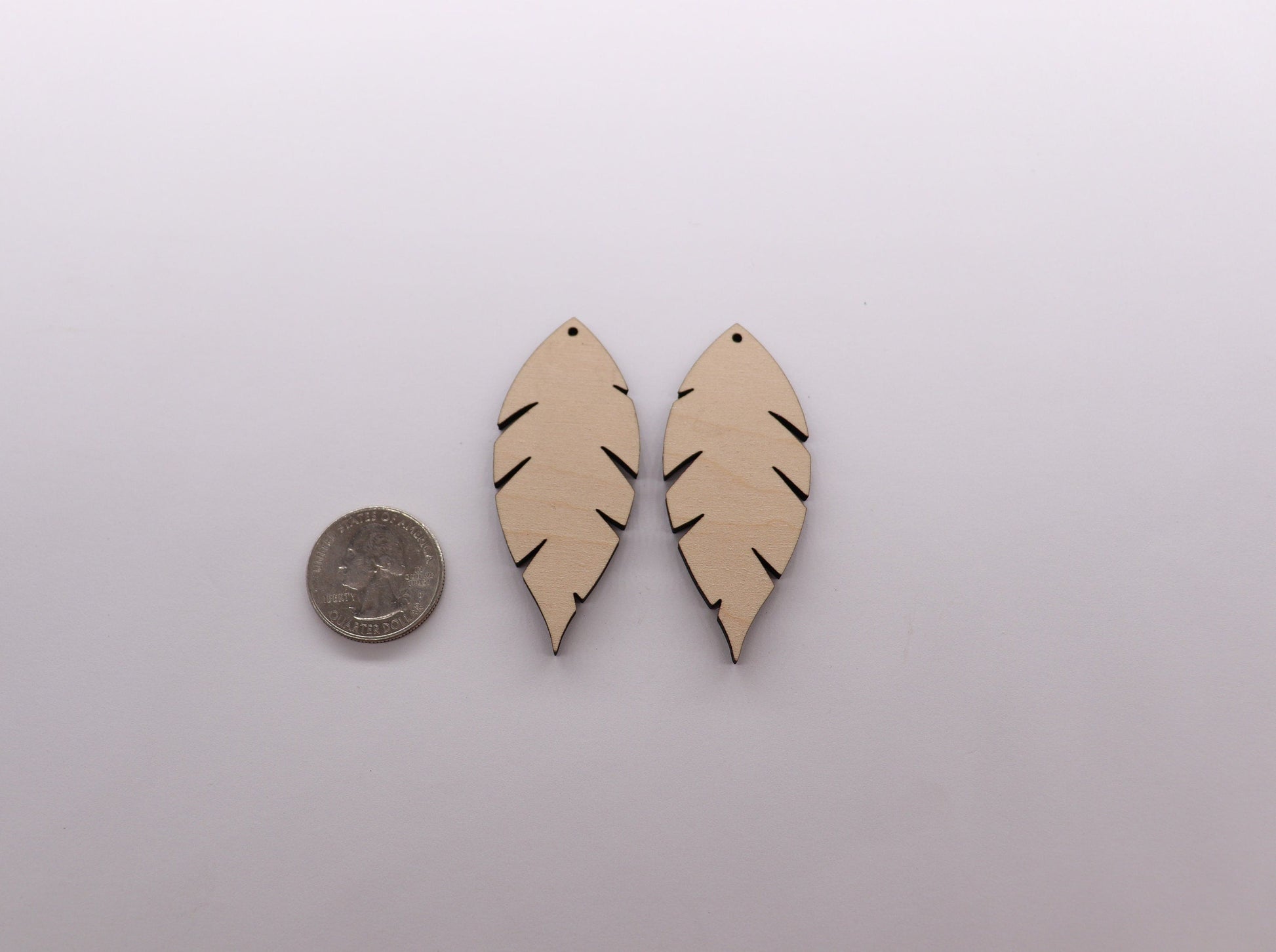 Feather blanks, wood cutouts, earring blanks