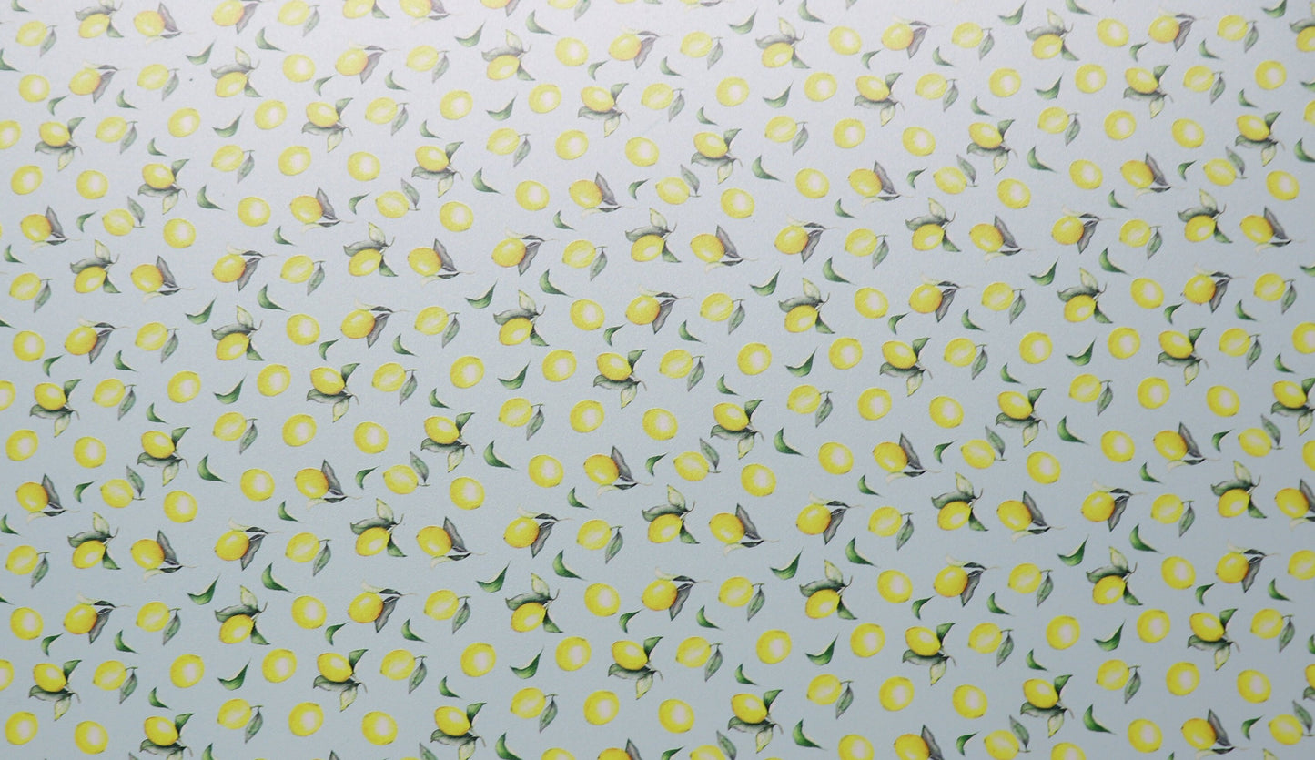 Mint Lemon Pattern acrylic, Sold per pair, Acrylic blanks, Acrylic cutouts, acrylic blanks